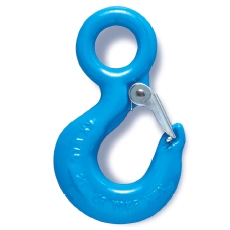 Alloy Eye Hoist Hook (Alloy Eye Hoist Hook)